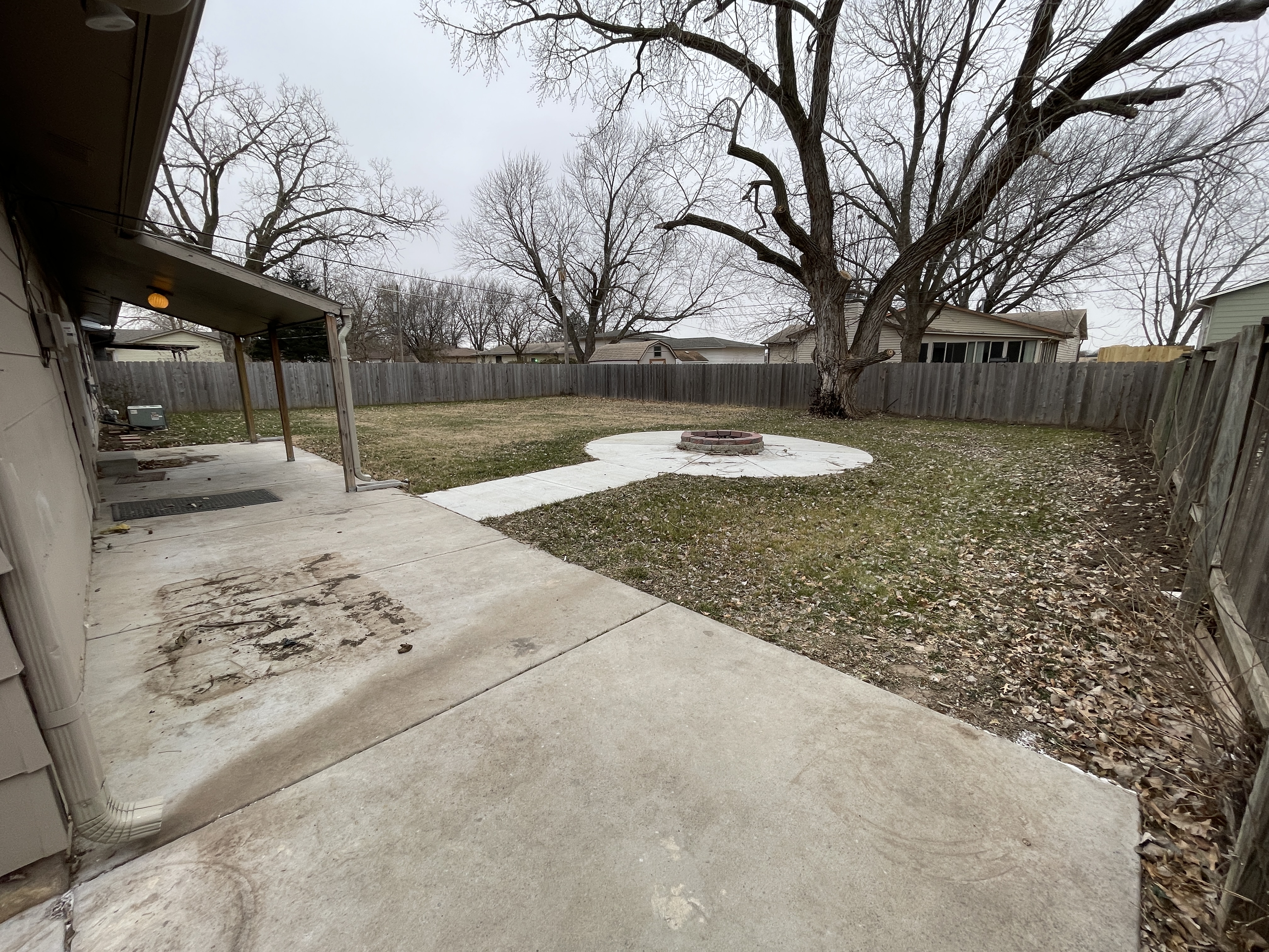 Backyard - From NE Corner