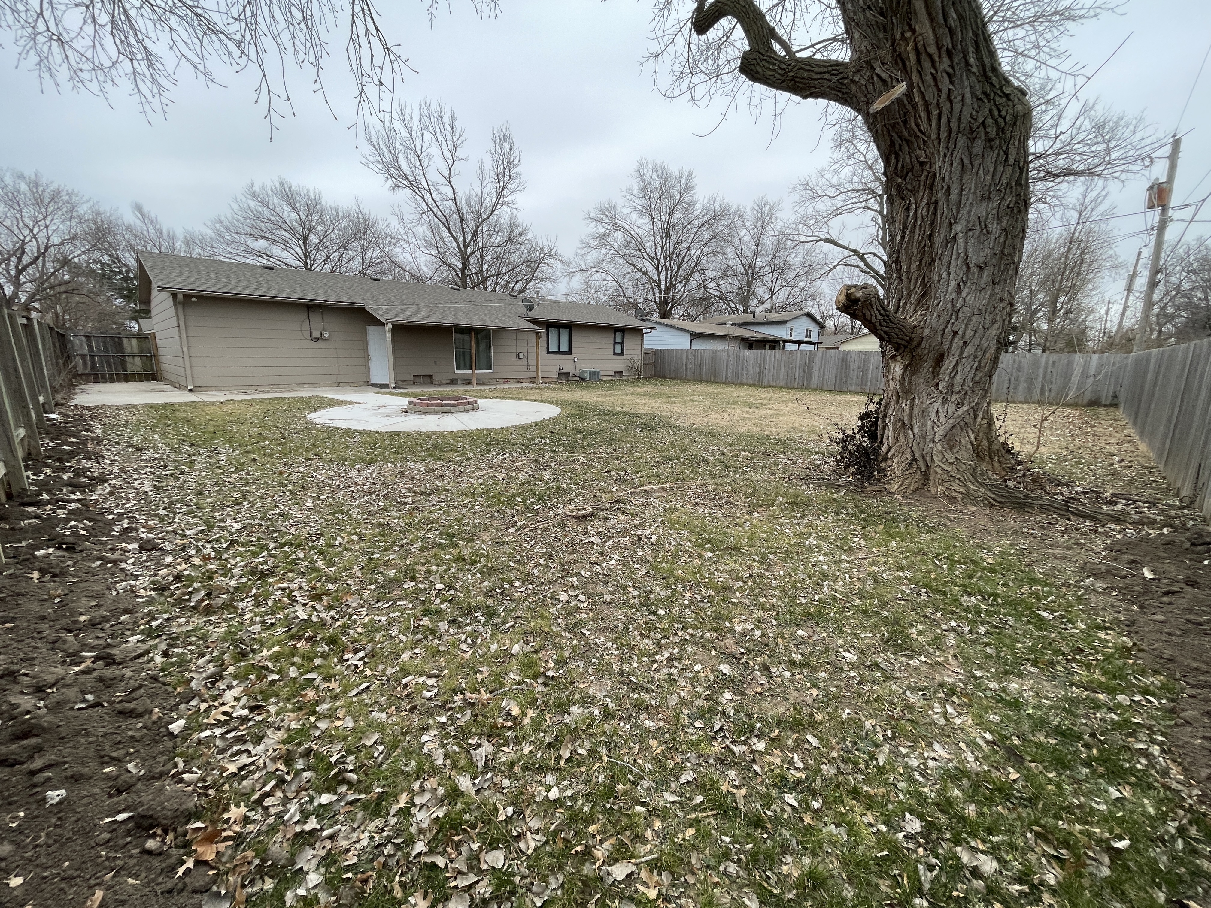 Backyard - From NW Corner