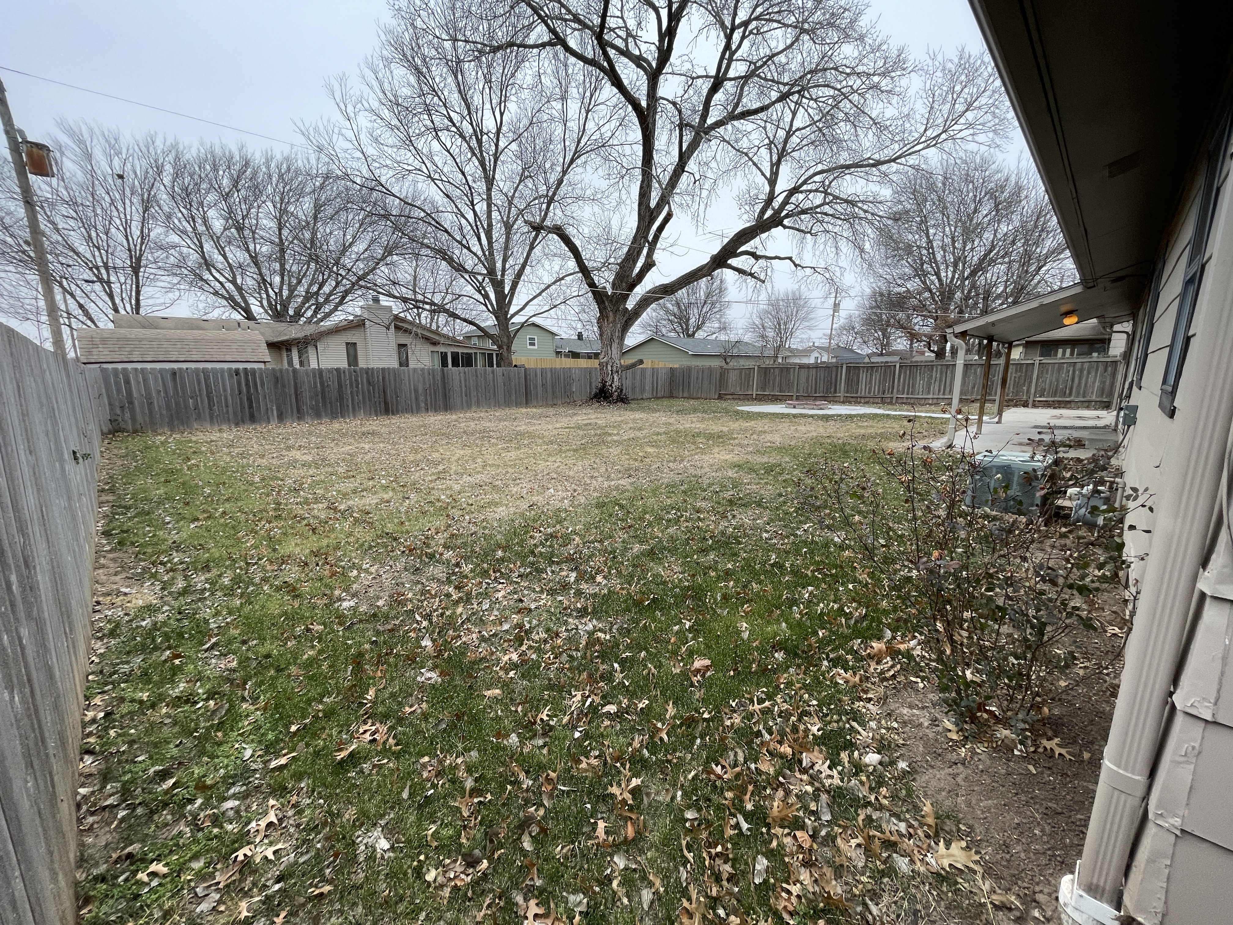 Backyard - From SE Corner