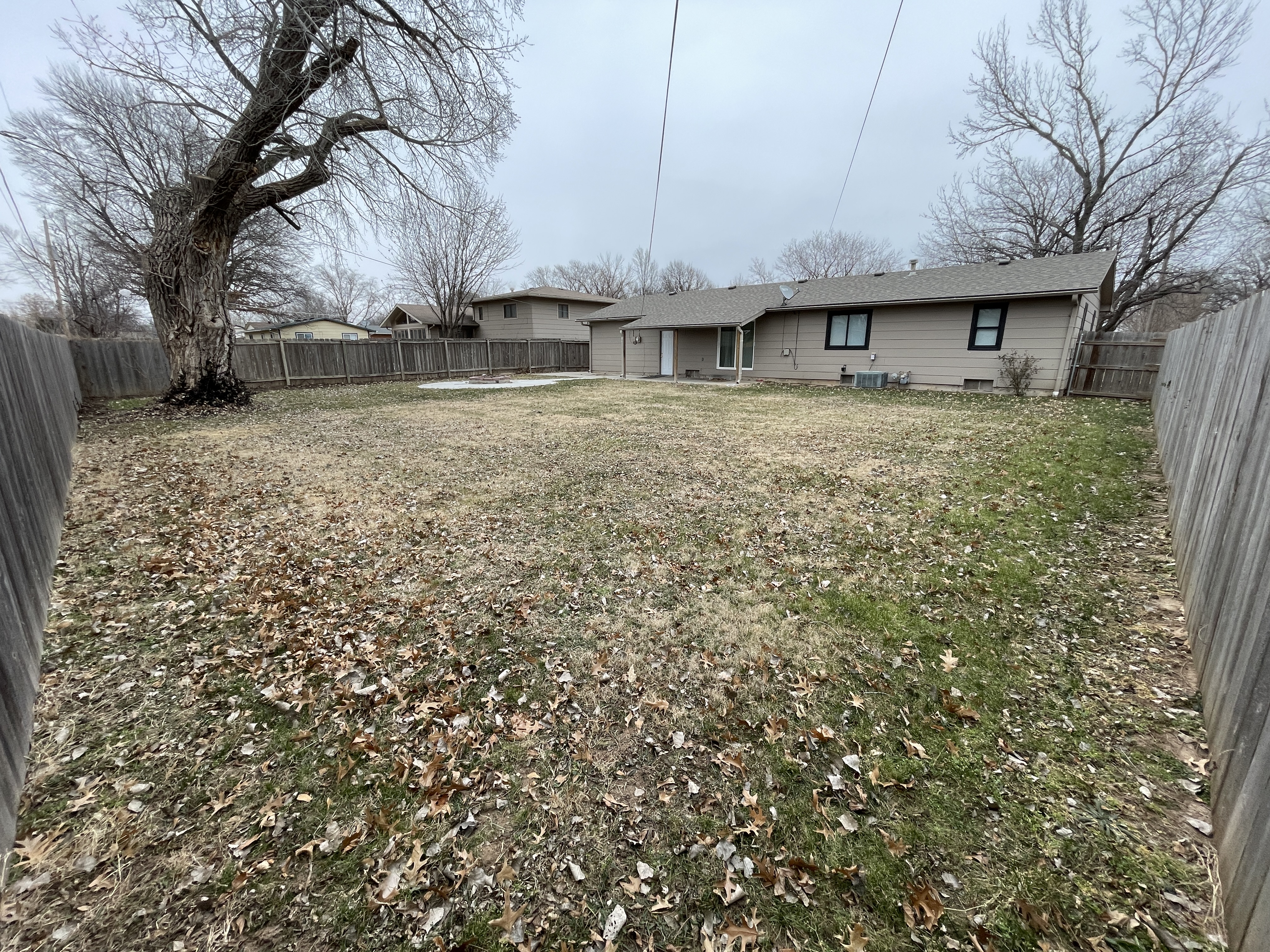 Backyard - From SW Corner